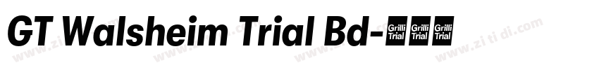 GT Walsheim Trial Bd字体转换